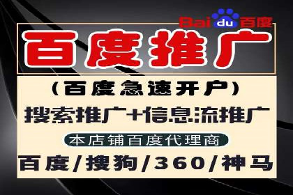 如何做SEM：从案例看策略制定与实施